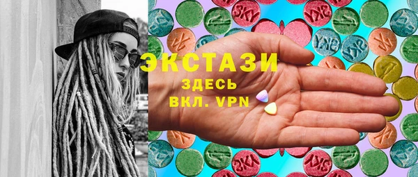 ECSTASY Богородицк